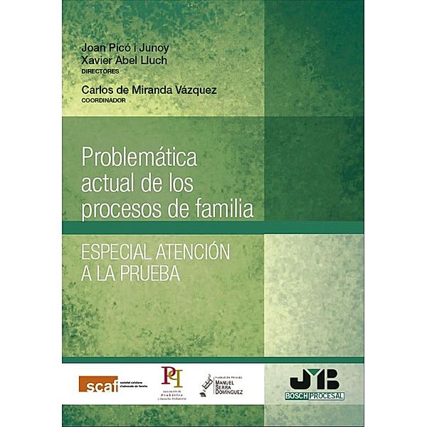 Problemática actual de los procesos de familia, Joan Picó I Junoy, Antonio Javier Pérez Martín, Julio Picatoste Bobillo, Manuel Richard Gonzalez, José Luis Seone Spiegelberg, Dolors Viñas Maestre, Raquel Alastruey, María Eugenia Alegret Burgués, Mercè Cartié, Eva María Corbal San Adrián, Enrique de Madrid-Dávila Rico, Manuel Horacio García Rodríguez, Frederic Munné Catarina, M° Ángeles Parra Lucán