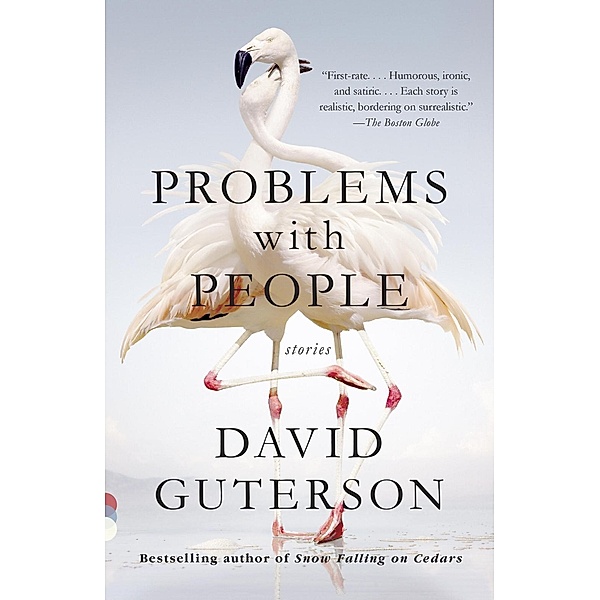 Problems with People / Vintage Contemporaries, David Guterson