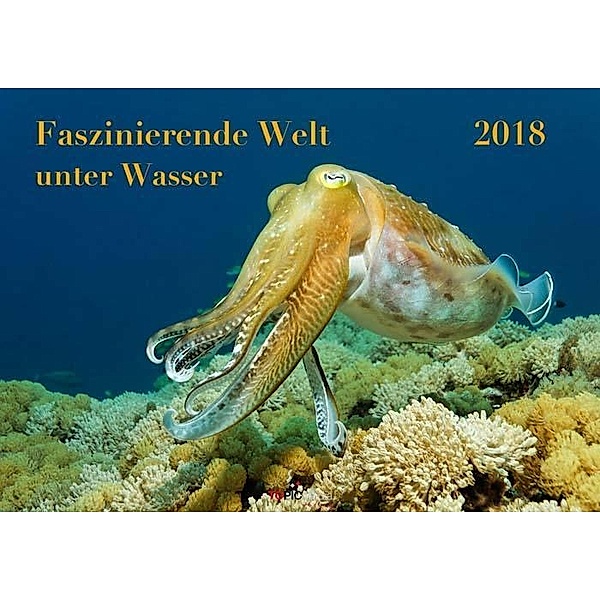 Probst, N: Faszinierende Welt unter Wasser 2018, Norbert Probst