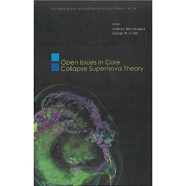 Proceedings From The Institute For Nuclear Theory: Open Issues In Core Collapse Supernova Theory