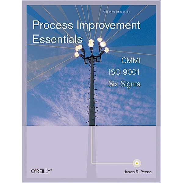 Process Improvement Essentials, James R. Persse