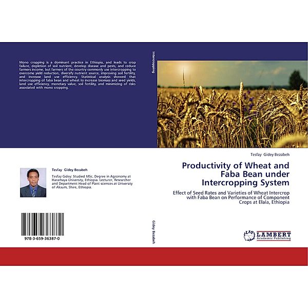 Productivity of Wheat and Faba Bean under Intercropping System, Tesfay Gidey Bezabeh