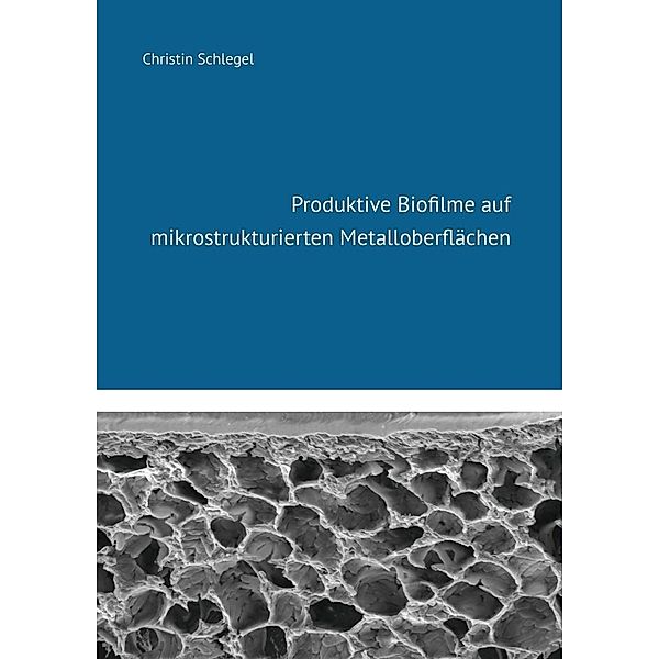 Produktive Biofilme auf mikrostrukturierten Metalloberflächen