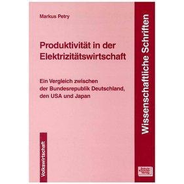 Produktivität in der Elektrizitätswirtschaft, Markus Petry