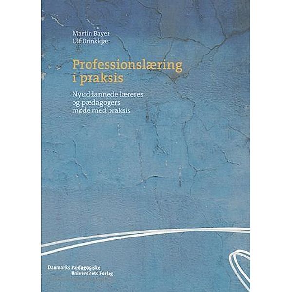 Professionslæring i praksis, Martin Bayer, Ulf Brinkkjaer