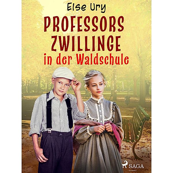 Professors Zwillinge in der Waldschule / 2 Bd.2, Else Ury