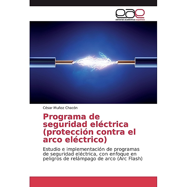 Programa de seguridad eléctrica (protección contra el arco eléctrico), César Muñoz Chacón