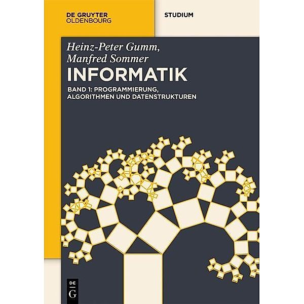 Programmierung, Algorithmen und Datenstrukturen / De Gruyter Studium, Heinz-Peter Gumm, Manfred Sommer
