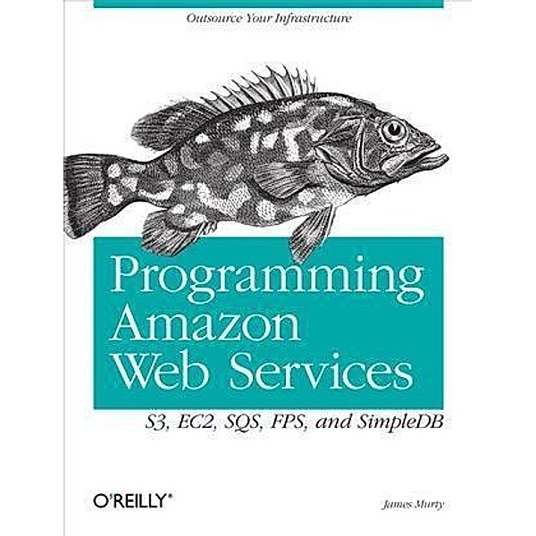 Programming Amazon Web Services, James Murty