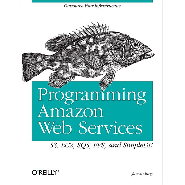Programming Amazon Web Services, James Murty