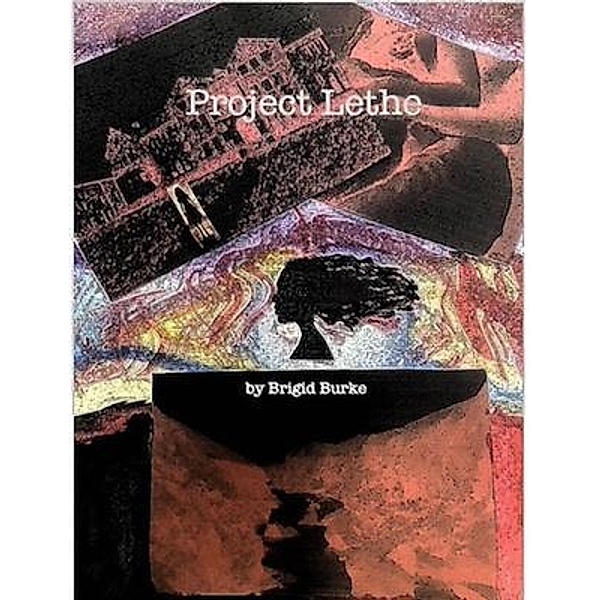 Project Lethe / Morrigan Timelines Book, Brigid Burke