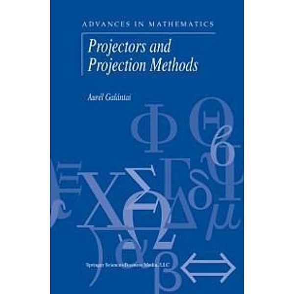 Projectors and Projection Methods / Advances in Mathematics Bd.6, Aurél Galántai