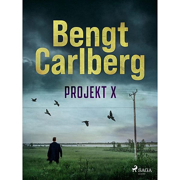 Projekt X / Kriminalinspektör Johan Fransson Bd.3, Bengt Carlberg