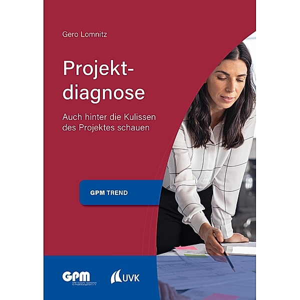 Projektdiagnose / Projektmanagement neu denken Bd.2, Gero Lomnitz