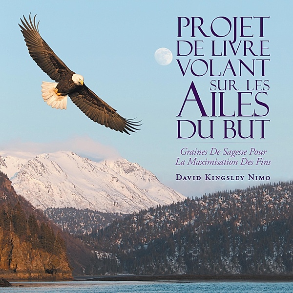 Projet De Livre Volant Sur Les Ailes Du But, David Kingsley Nimo