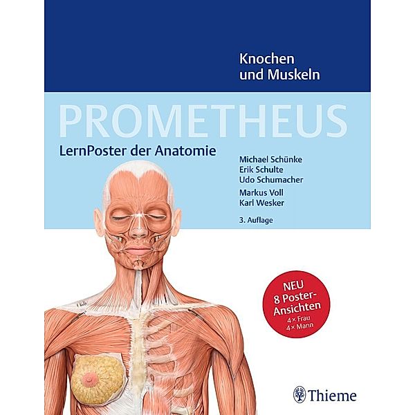 PROMETHEUS LernPoster der Anatomie, Knochen und Muskeln, Michael Schünke, Erik Schulte, Udo Schumacher