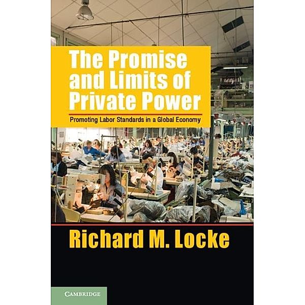 Promise and Limits of Private Power, Richard M. Locke