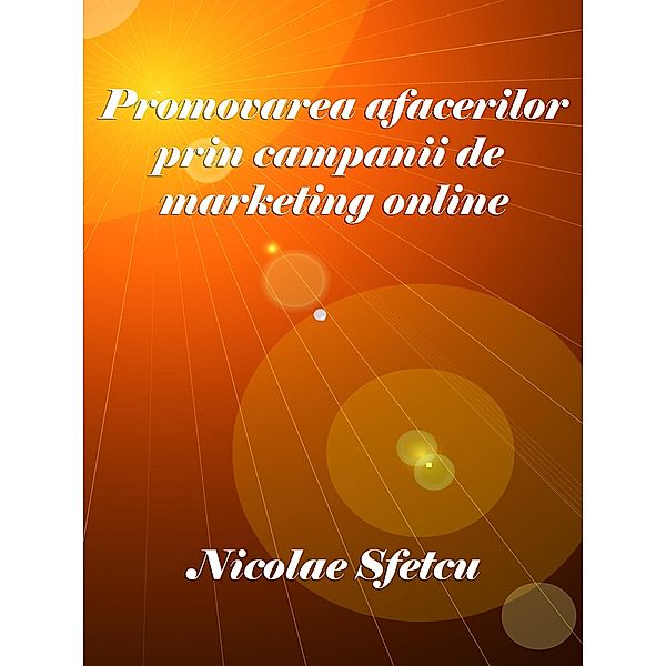 Promovarea afacerilor prin campanii de marketing online, Nicolae Sfetcu
