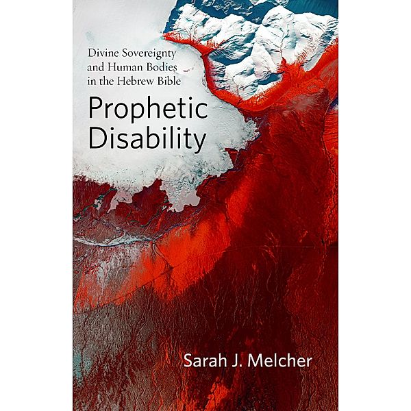 Prophetic Disability / Studies in Religion, Theology, and Disability, Sarah J. Melcher