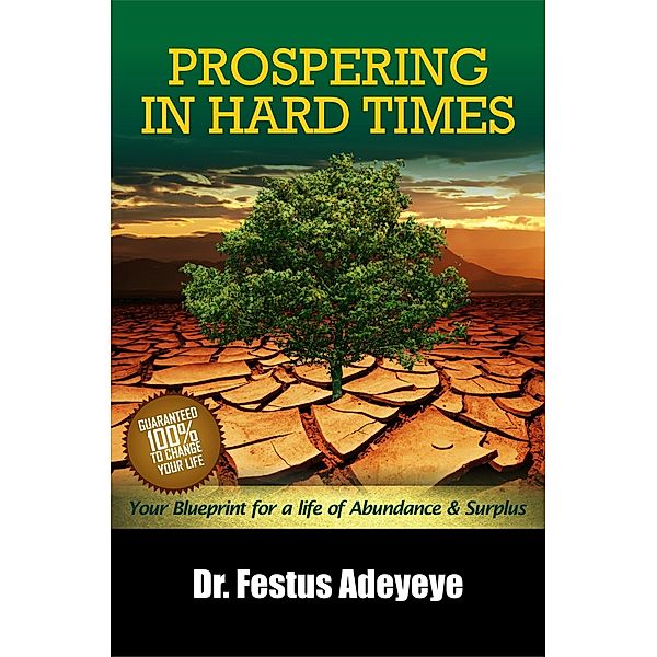 Prospering in Hard Times, Festus Adeyeye