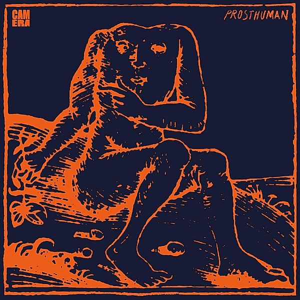 Prosthuman (Vinyl), Camera