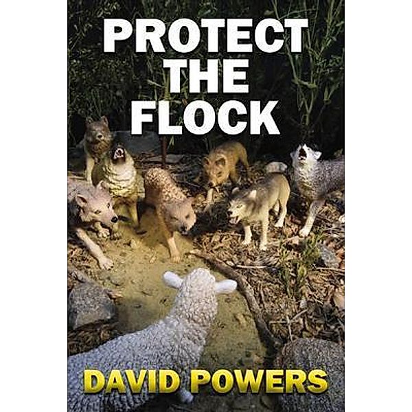 Protect The Flock / David C. Powers, David C. Powers
