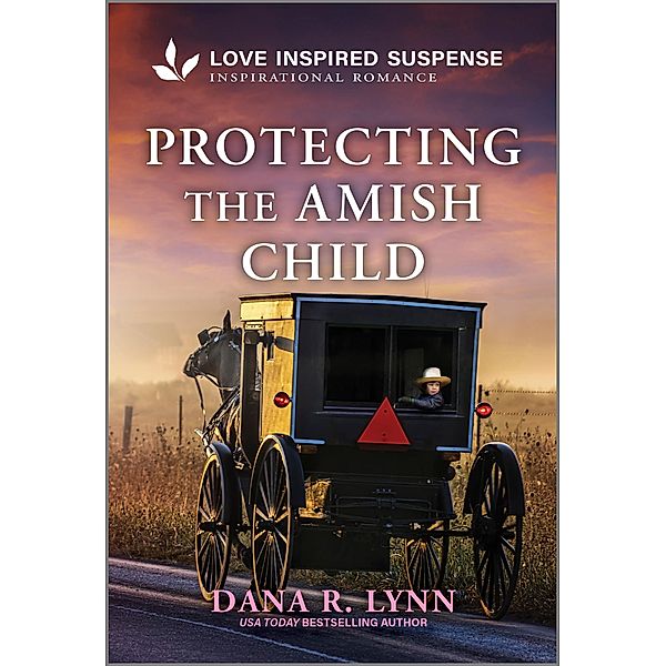 Protecting the Amish Child / Amish Country Justice Bd.19, Dana R. Lynn