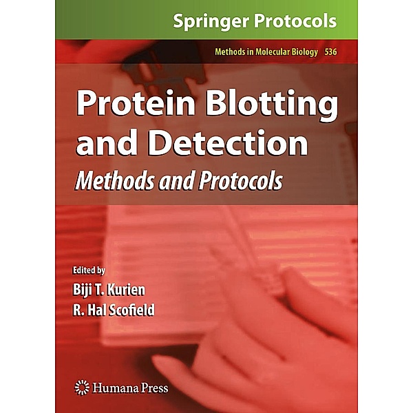 Protein Blotting and Detection / Methods in Molecular Biology Bd.536