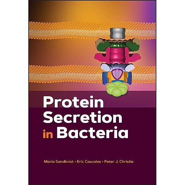 Protein Secretion in Bacteria / ASM