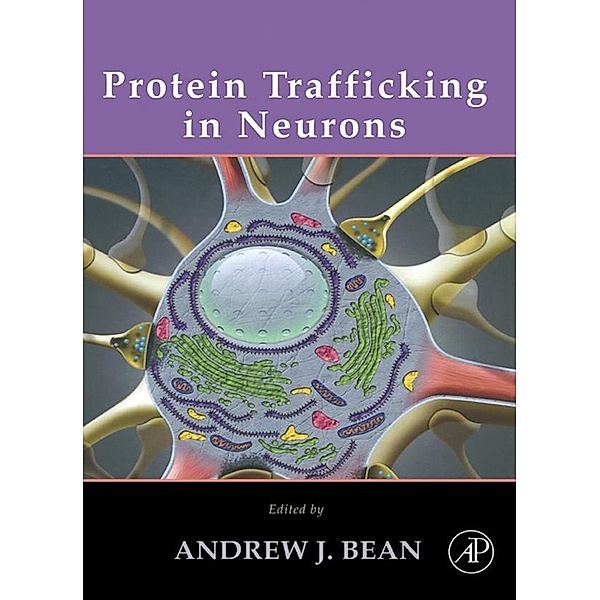 Protein Trafficking in Neurons