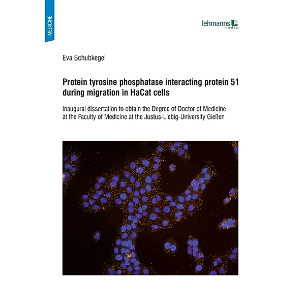 Protein tyrosine phosphatase interacting protein 51 during migration in HaCat cells, Eva Schubkegel