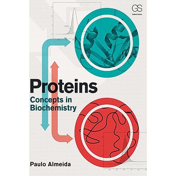 Proteins, Paulo Almeida