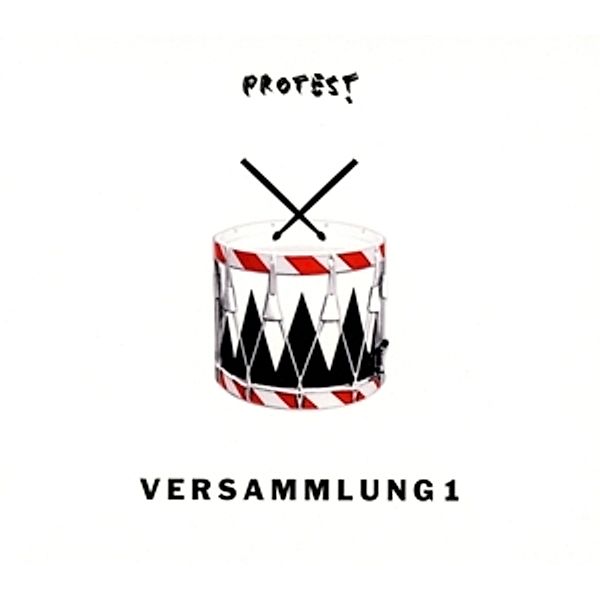 Protest-Versammlung 1, Wolfgang Voigt