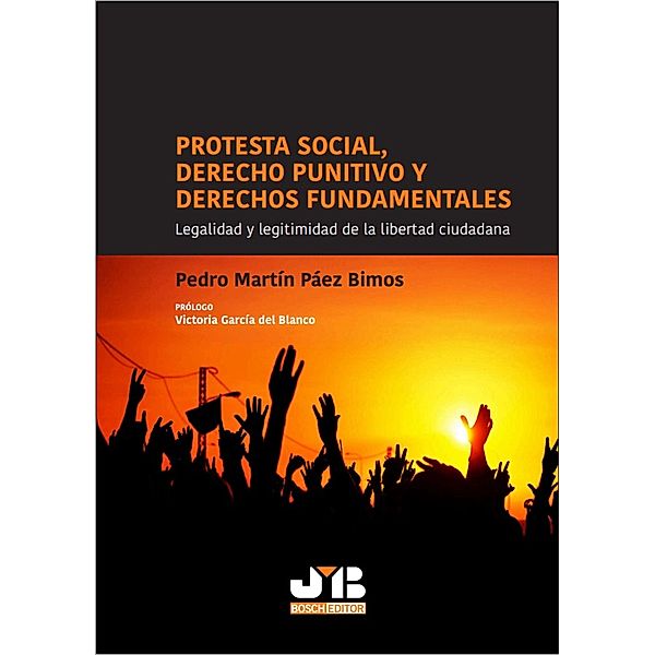 Protesta social, Derecho punitivo y derechos fundamentales, Pedro Martín Páez Bimos