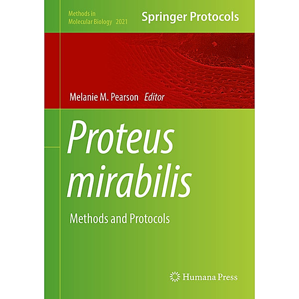 Proteus mirabilis