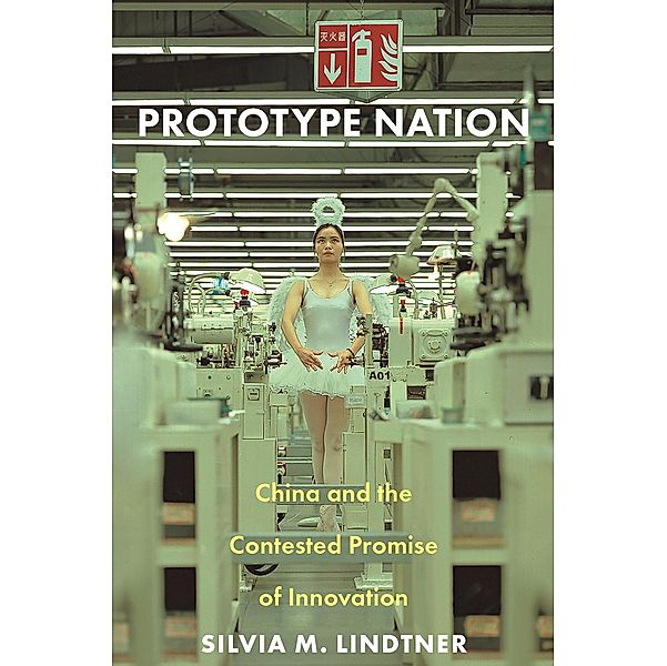 Prototype Nation / Princeton Studies in Culture and Technology Bd.30, Silvia M. Lindtner