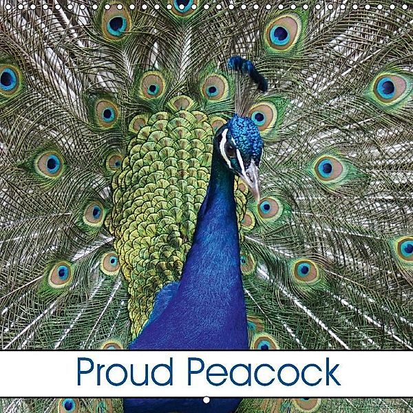 Proud Peacock (Wall Calendar 2018 300 × 300 mm Square), kattobello