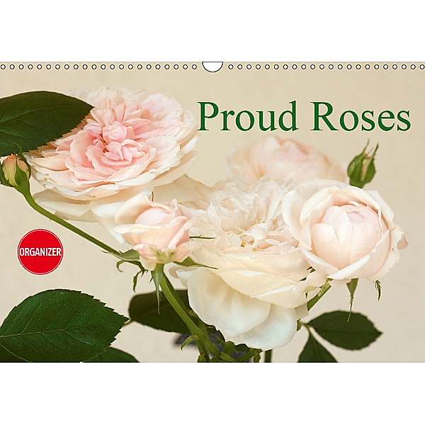 Proud Roses (Wall Calendar 2019 DIN A3 Landscape), Gisela Kruse
