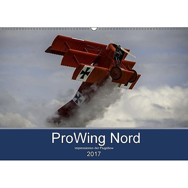 ProWing Nord Impressionen der Flugshow (Wandkalender 2017 DIN A2 quer), Gabriele Kislat