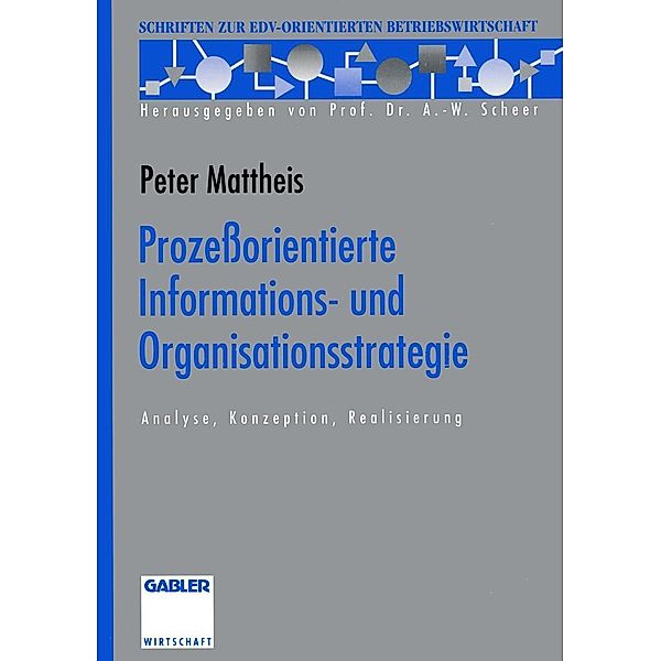 Prozeßorientierte Informations- und Organisationsstrategie / Schriften zur EDV-orientierten Betriebswirtschaft, Peter Mattheis