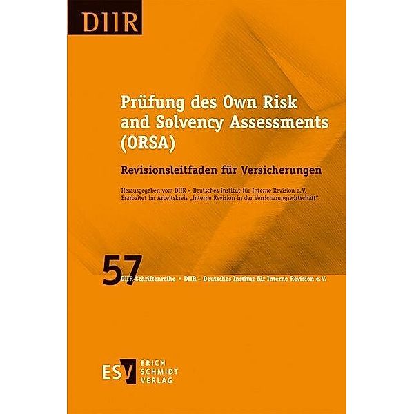 Prüfung des Own Risk and Solvency Assessments (ORSA)