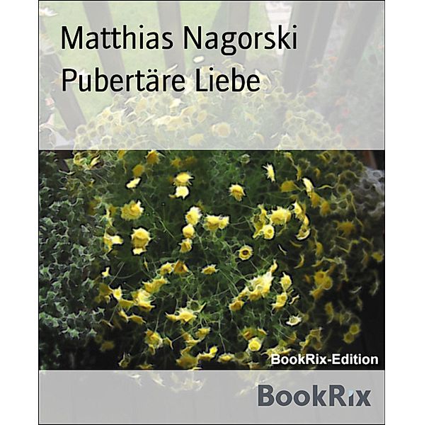 Pubertäre Liebe, Matthias Nagorski