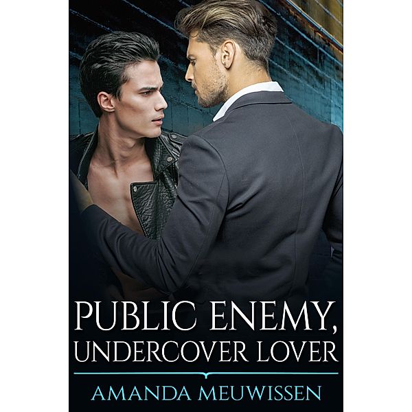 Public Enemy, Undercover Lover / JMS Books LLC, Amanda Meuwissen