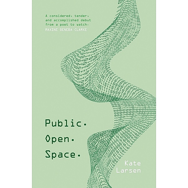 Public. Open. Space, Kate Larsen