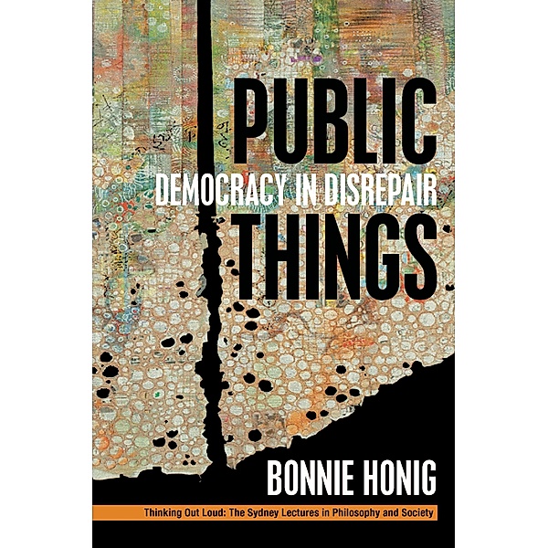 Public Things, Honig
