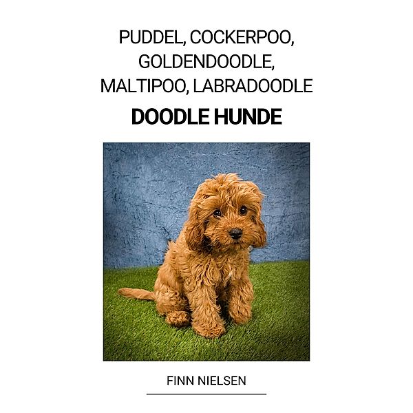 Puddel, Cockerpoo, Goldendoodle, Maltipoo, Labradoodle (Doodle Hunde), Finn Nielsen