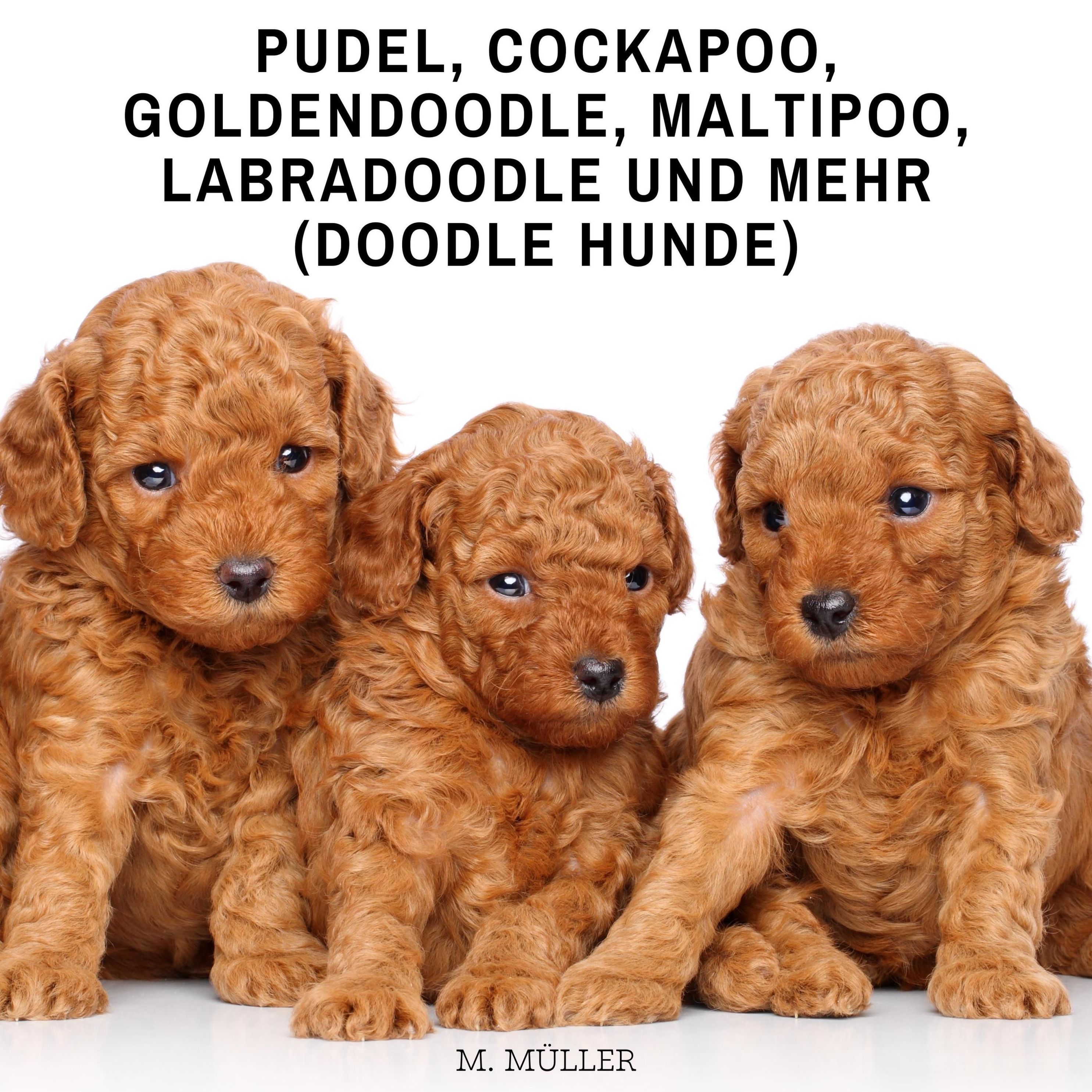 Cockapoo, Goldendoodle, Maltipoo, Labradoodle und Doodle Hunde Hörbuch