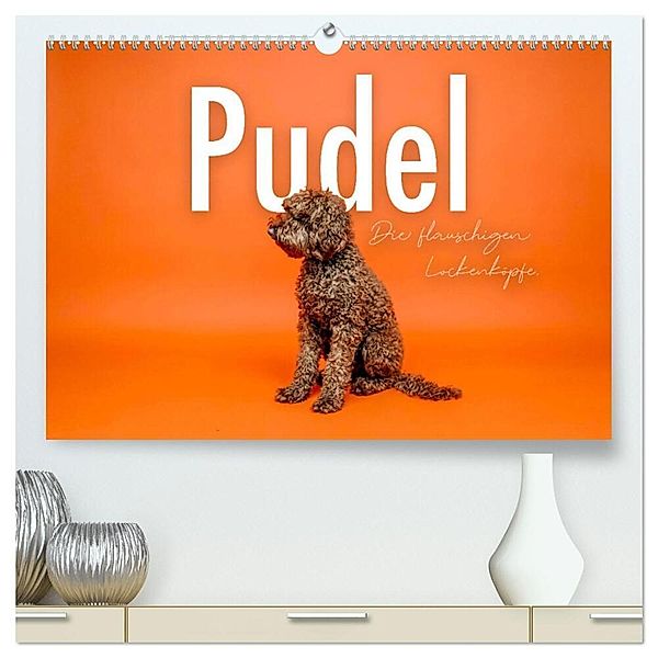Pudel - Die flauschigen Lockenköpfe. (hochwertiger Premium Wandkalender 2024 DIN A2 quer), Kunstdruck in Hochglanz, SF