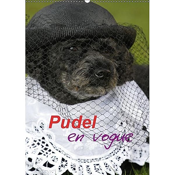 Pudel en vogue (Wandkalender 2017 DIN A2 hoch), Antje Lindert-Rottke