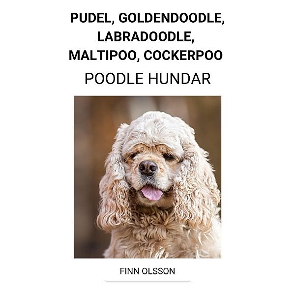 Pudel, Goldendoodle, Labradoodle, Maltipoo, Cockerpoo (Poodle Hundar), Finn Olsson